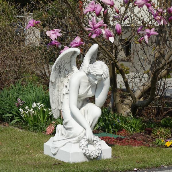 S101225 H.82cm G.100kg 38x34m