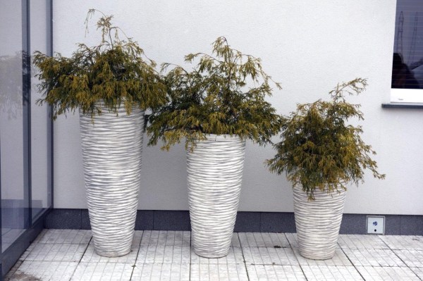 S204075,S204092,S204093